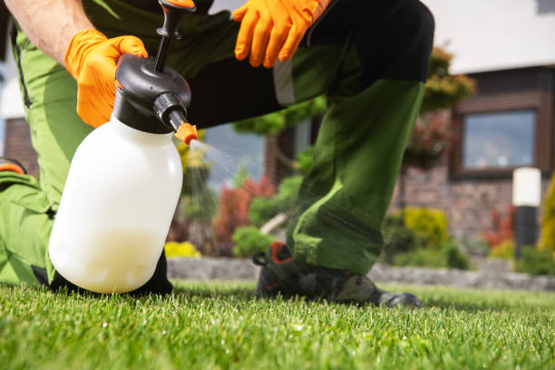 Best Local Pest Control Services  in Russellville, AR